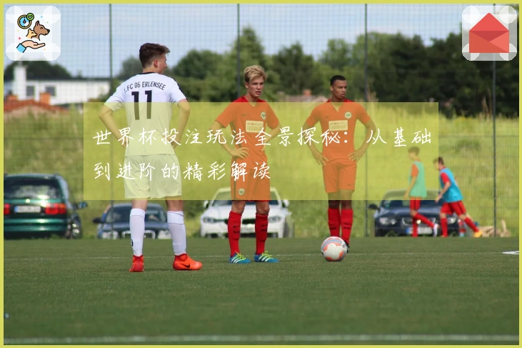 世界杯投注玩法全景探秘：从基础到进阶的精彩解读