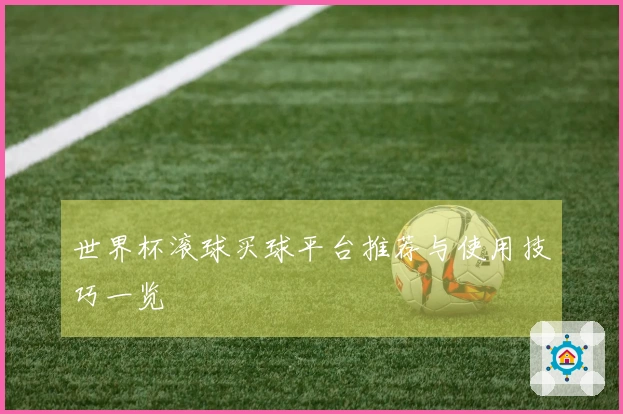 世界杯滚球买球平台推荐与使用技巧一览