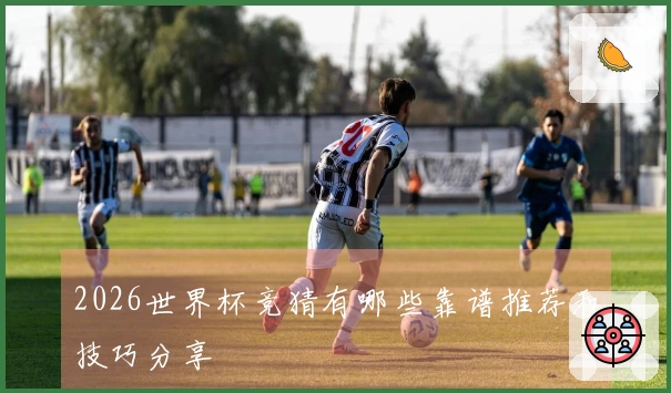 2026世界杯竞猜有哪些靠谱推荐和技巧分享