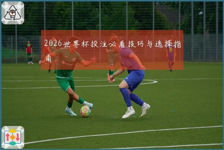 2026世界杯投注必看技巧与选择指南