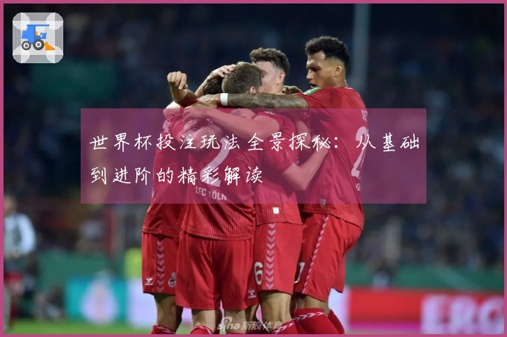 世界杯投注玩法全景探秘：从基础到进阶的精彩解读