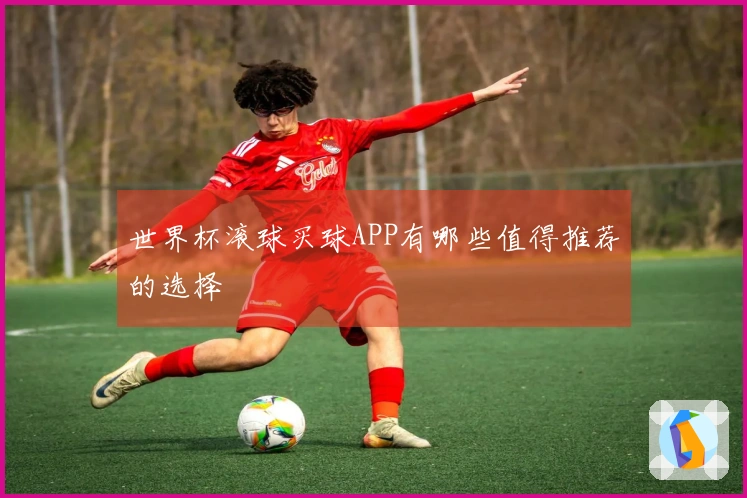 世界杯滚球买球APP有哪些值得推荐的选择