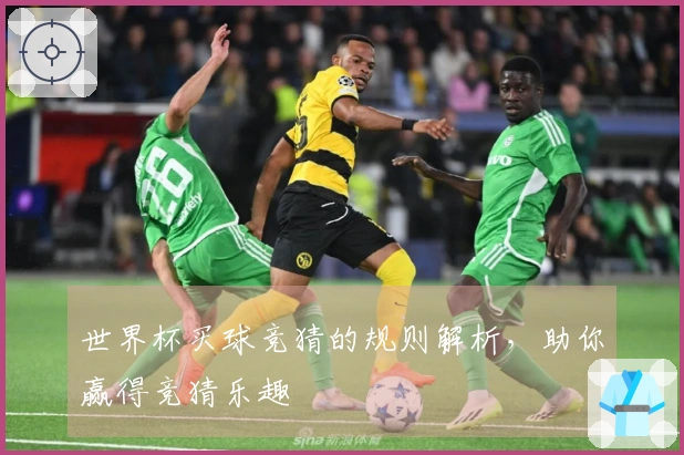 世界杯买球竞猜的规则解析，助你赢得竞猜乐趣