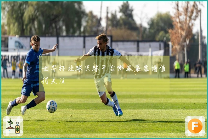 世界杯让球买球平台哪家最靠谱值得关注