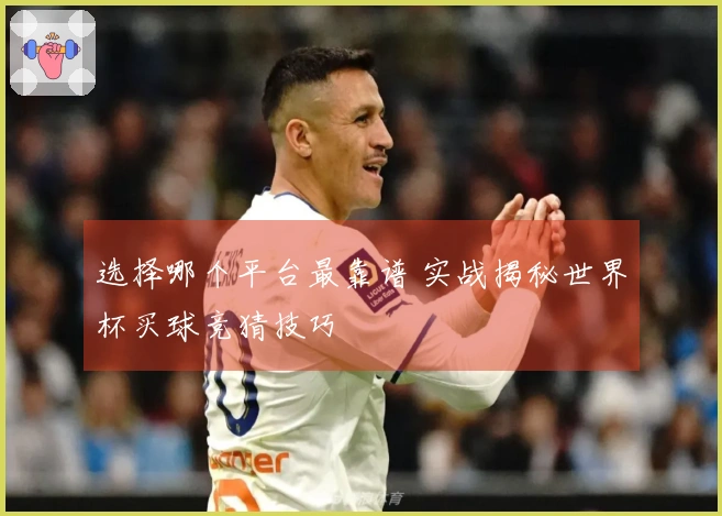 选择哪个平台最靠谱 实战揭秘世界杯买球竞猜技巧