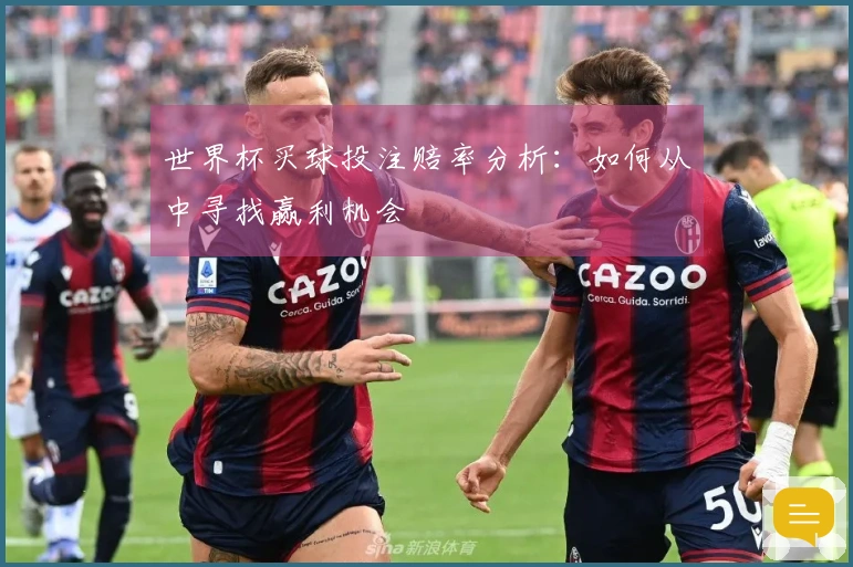 世界杯买球投注赔率分析：如何从中寻找赢利机会