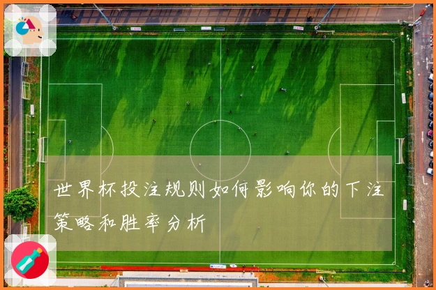 世界杯投注规则如何影响你的下注策略和胜率分析