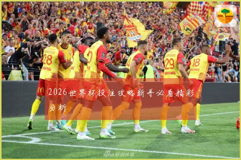 2026世界杯投注攻略新手必看精彩分析