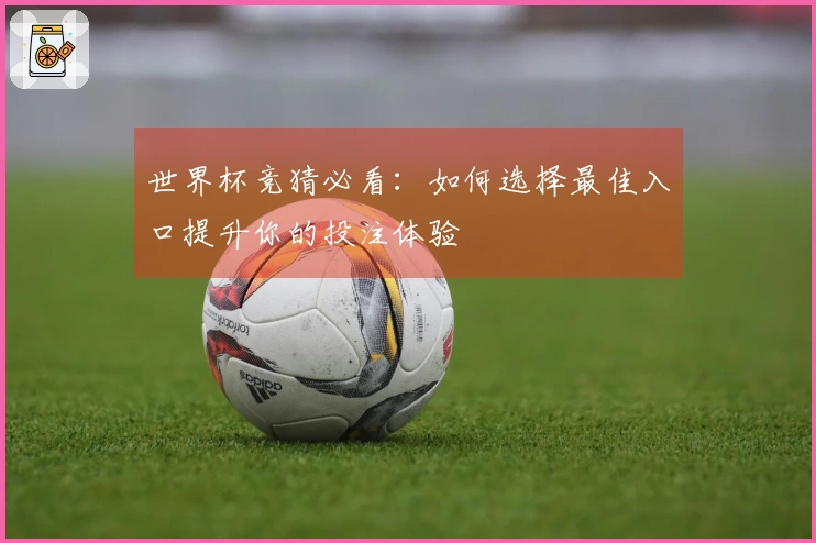 世界杯竞猜必看：如何选择最佳入口提升你的投注体验