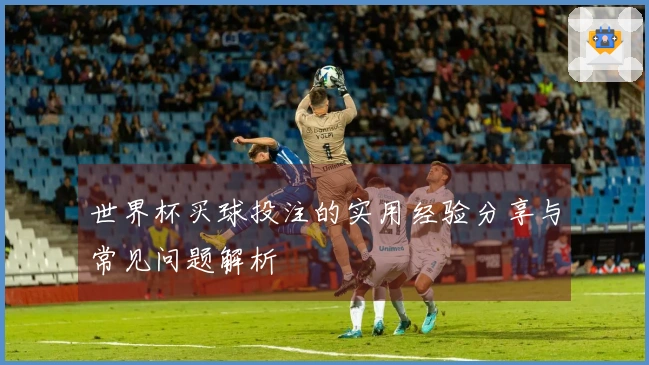 世界杯买球投注的实用经验分享与常见问题解析