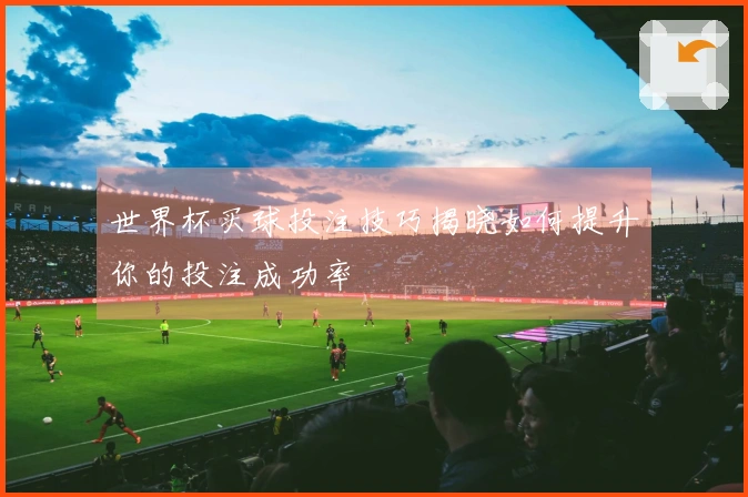 世界杯买球投注技巧揭晓如何提升你的投注成功率