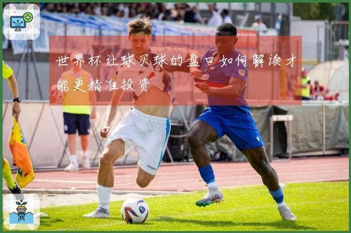 世界杯让球买球的盘口如何解读才能更精准投资