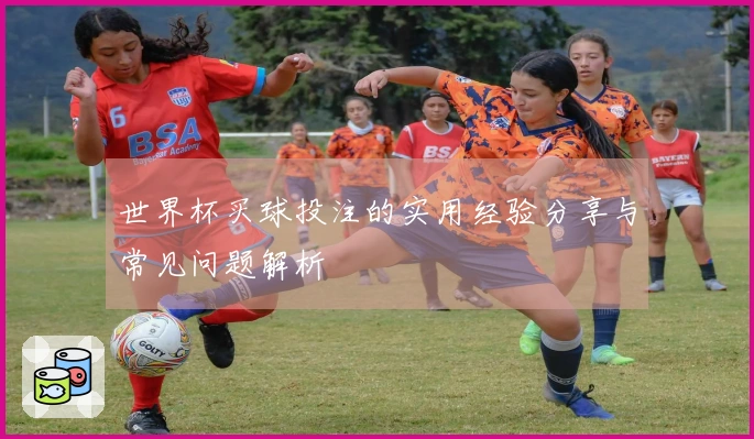 世界杯买球投注的实用经验分享与常见问题解析