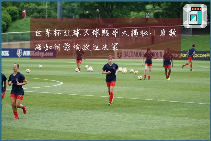世界杯让球买球赔率大揭秘，看数据如何影响投注决策