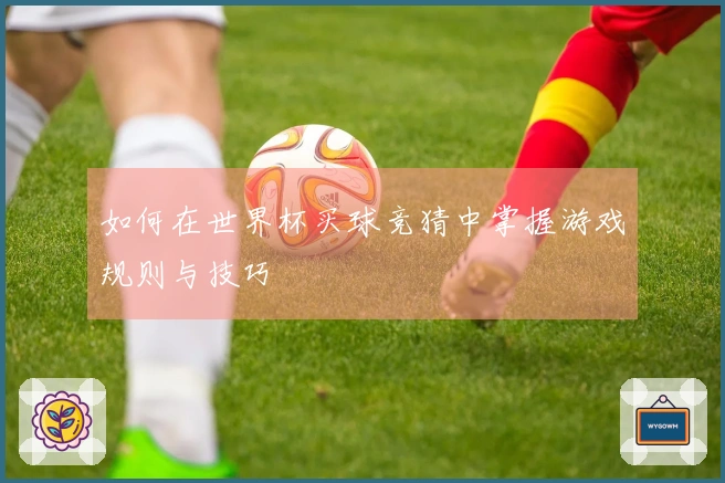 如何在世界杯买球竞猜中掌握游戏规则与技巧